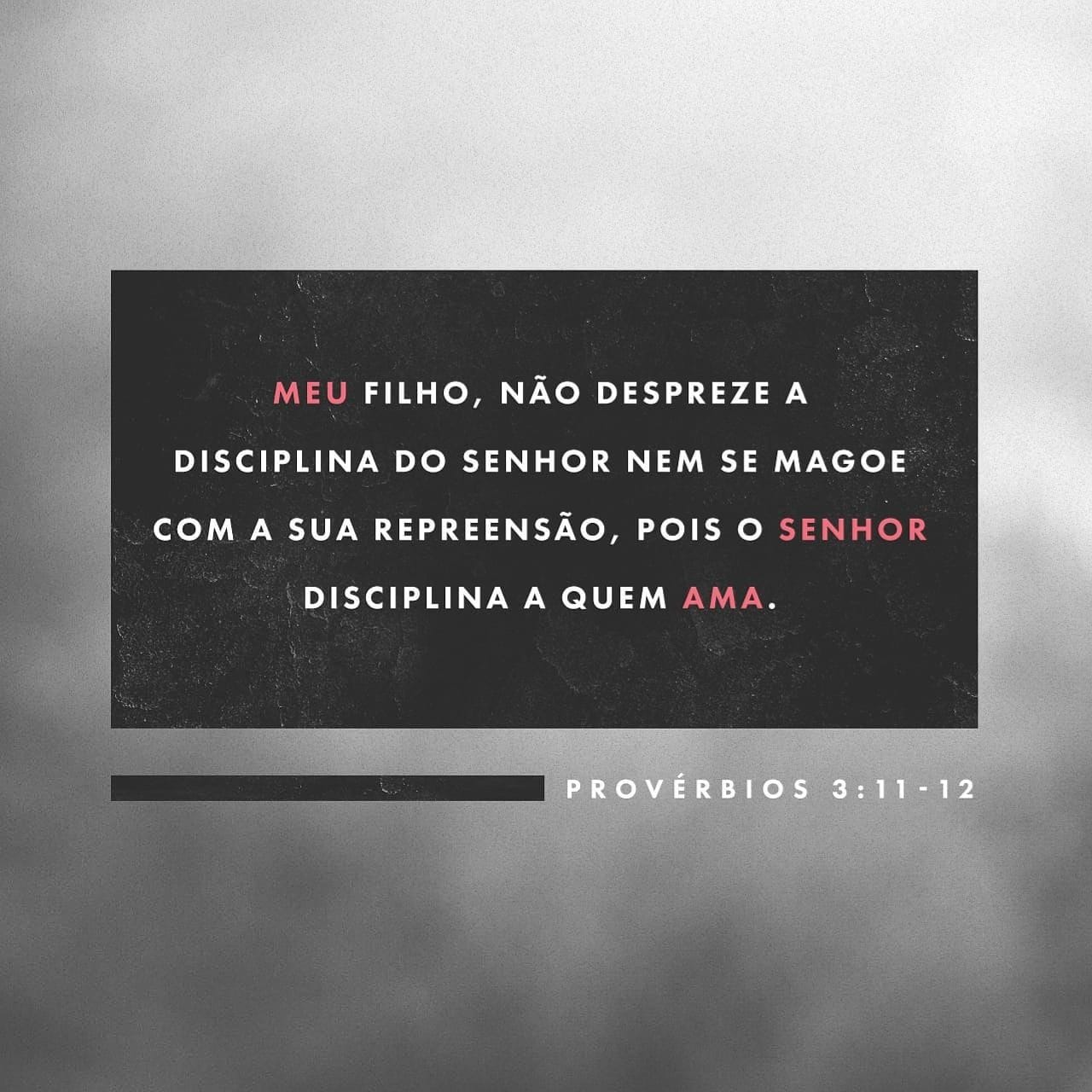 O Temor Do Senhor é O Princípio Do Conhecimento, Mas Os Insensatos Desprezam A Sabedoria E A Disciplina.